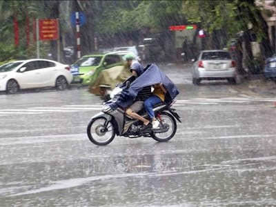 Dự báo thời tiết 5.12: Hà Nội và Bắc Bộ mưa rét, có nơi rét đậm