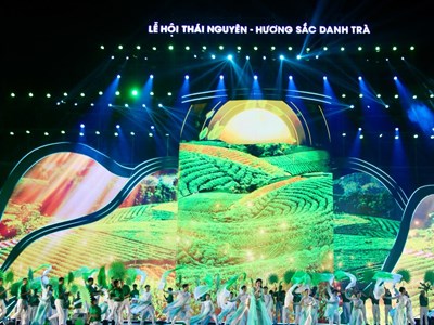 Mở hành trình đưa văn hóa trà ra thế giới