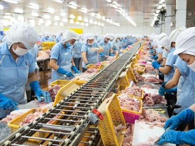 Chủ tịch HĐQT Nam Việt (ANV) đăng ký thoái toàn bộ vốn đang nắm giữ