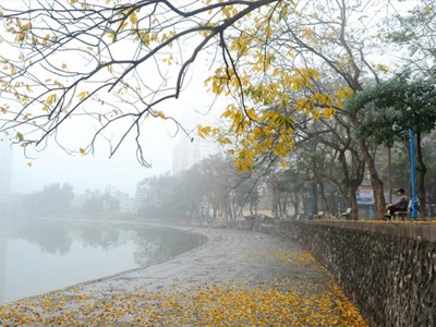 Dự báo thời tiết 14.1: Hà Nội sương mù, TP.HCM mưa dông