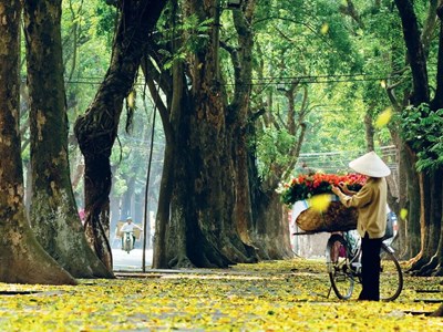 Dự báo thời tiết 15.1: Bắc Bộ ấm lên, Nam Bộ mưa dông