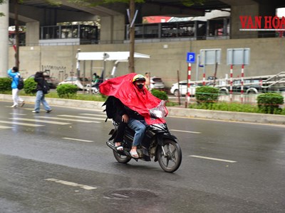 Dự báo thời tiết 25.1: Hà Nội rét đậm dai dẳng