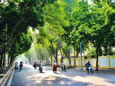  Dự báo thời tiết 4.2: TP. Hồ Chí Minh và Nam Bộ ngày nắng ráo