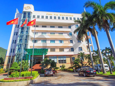 Cổ phiếu PTB tăng hơn 12% từ đầu năm, lãnh đạo đăng ký mua 100.000 cổ phiếu