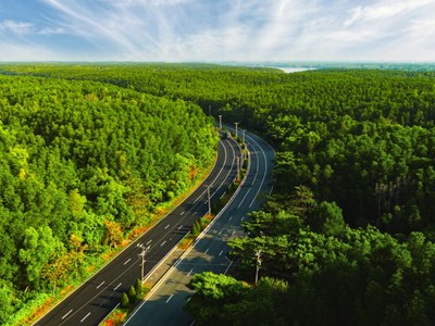 Vinhomes Green Paradise: Từ đường chạy 5.000 người đến tâm điểm sự kiện - du lịch mới của TP.HCM