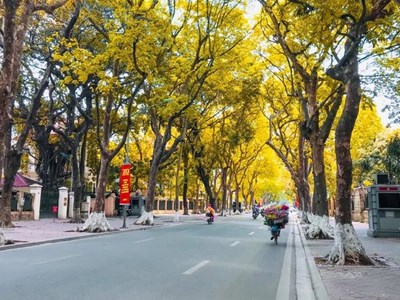 Dự báo thời tiết 19.3: Bắc Bộ hửng nắng, Nam Bộ mưa dông