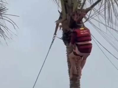 Quảng Ninh: Sự cố hi hữu dù bay lúc hạ cánh 2 mẹ con bị mắc kẹt trên ngọn dừa