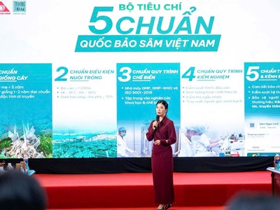 CEO Hoàng Minh Hạnh và hành trình mở lối cho Sâm Việt