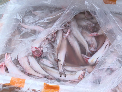 Hóa chất formol dùng trong thực phẩm nguy hại thế nào?