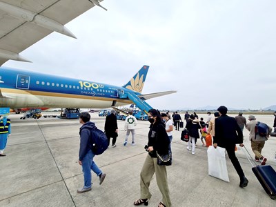 Nghịch lý vé Tết: Lượng chuyến bay tăng, giá vẫn cao