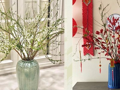 5 mẹo chăm sóc giúp hoa tươi lâu ngày Tết