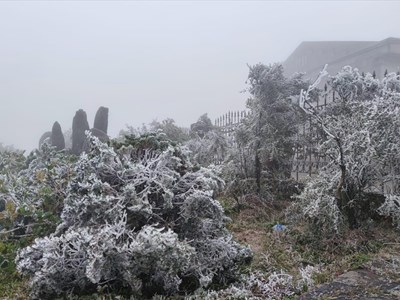 Cẩm nang săn băng tại đỉnh Mẫu Sơn - Chuyến đi an toàn và thú vị