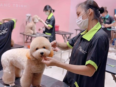 Các spa thú cưng tất bật dịp Tết