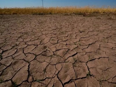 New Zealand xác nhận El Niño mạnh: Châu Á bước vào giai đoạn thời tiết cực đoan 