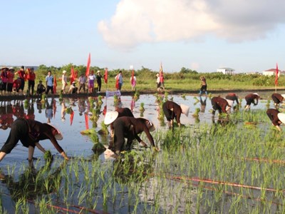 Lễ hội Xuống đồng ở Quảng Ninh: Gìn giữ di sản, gửi gắm ước vọng quốc thái dân an