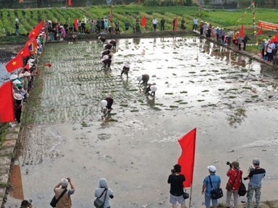 Quảng Ninh: Khai mạc Lễ hội xuống đồng, khơi dậy tinh thần đoàn kết