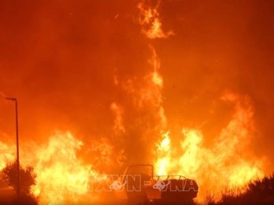 Cháy rừng kỷ lục ở Bỉ đang lan sang Đức