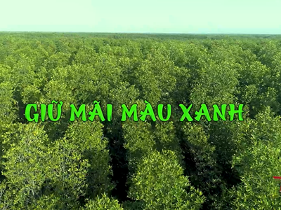 Giữ mãi màu xanh