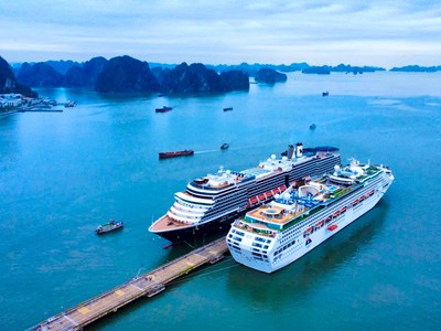 Quảng Ninh bắt đầu vào mùa du lịch tàu biển