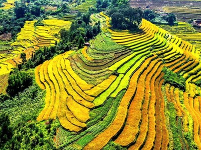 Hội Mùa vàng xã Lục Hồn hứa hẹn nhiều trải nghiệm hấp dẫn