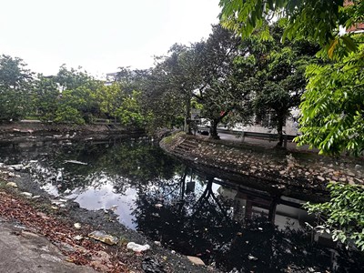Mương Hồ Sen ở Hải Phòng ô nhiễm nghiêm trọng, ảnh hưởng hàng trăm hộ dân