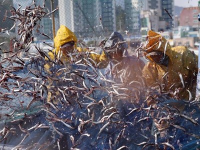 Lao động tay nghề cao ở Hàn Quốc lương trên 2.000 USD