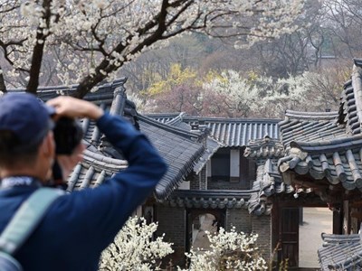 Khám phá Changdeokgung: Khi lịch sử hòa cùng thiên nhiên
