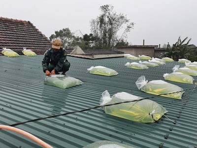 Ninh Bình trong mọi tình huống phương châm “4 tại chỗ” phải được đảm bảo