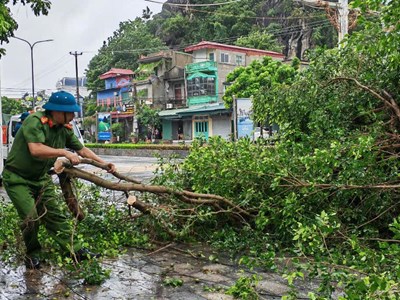 Những hình ảnh đầu tiên ở Ninh Bình khi bão số 3 đổ bộ