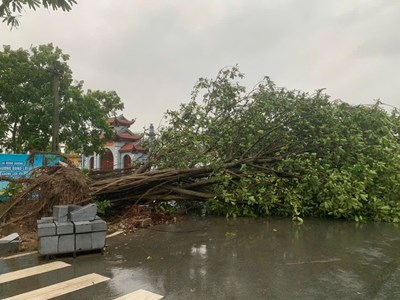 Bão số 3 gây sạt lở núi, đê và ngập 78.355 ha lúa ở Ninh Bình