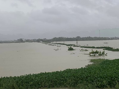 Ninh Bình: Tập trung khắc phục hậu quả bão số 5