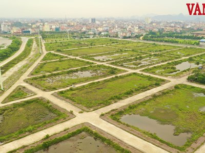 Ninh Bình: Triển khai 90 ngày làm giàu, làm sạch cơ sở dữ liệu quốc gia về đất đai