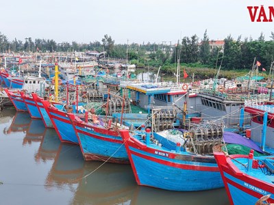 Triển khai phương án di dân xong trước 18h ngày 24.9