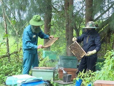 Truy xuất nguồn gốc điện tử: Giải pháp nâng cao giá trị nông sản