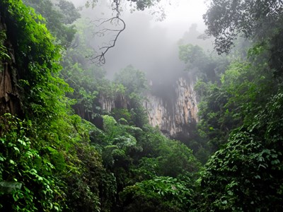 Khám phá tour xuyên rừng chinh phục “nóc nhà” Cúc Phương