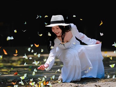 Biến “vũ điệu” rừng xanh thành sản phẩm du lịch hút khách