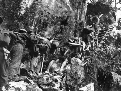 Sức sống mãnh liệt trên con đường Hồ Chí Minh huyền thoại