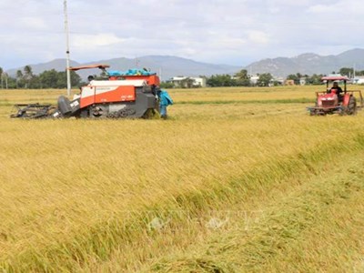 Bộ NN&PTNT thông tin việc sắp xếp, tinh gọn bộ máy