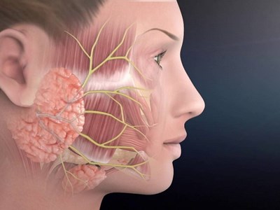 Rét đậm, rét hại làm gia tăng nguy cơ liệt dây thần kinh số 7