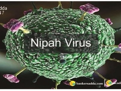 Các địa phương tăng cường giám sát, phòng chống dịch bệnh do virus Nipah ngay từ các cửa khẩu 