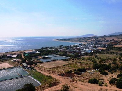 Điện hạt nhân chiến lược đối với an ninh năng lượng quốc gia năm 2026