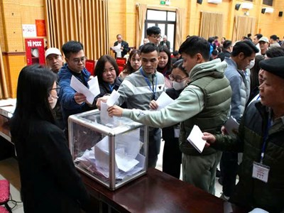 Điều gì khiến giá đất đấu giá tại xã Tây Phương, Hà Nội lên tới hơn 164 triệu đồng/m2?