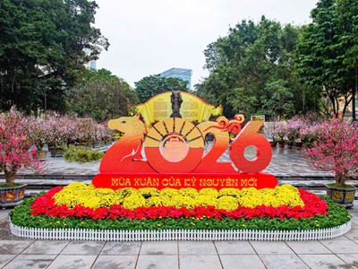 Du khách nô nức check-in không gian hoa xuân Lý Thái Tổ ngày đầu mở cửa