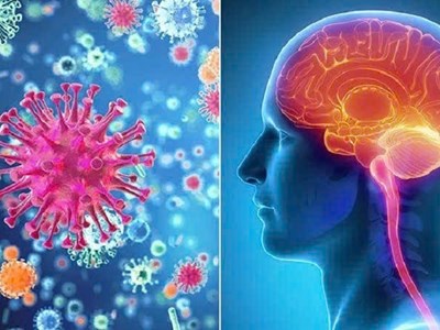 Cảnh giác viêm não mô cầu: “Sát thủ thầm lặng” với nguy cơ tử vong cực nhanh