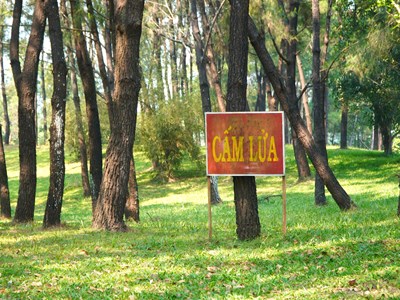 Phòng ngừa di tích Huế trong mùa nắng nóng