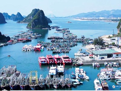 Quảng Ninh: Mở cảng Cái Rồng, phát triển dịch vụ hậu cần nghề cá