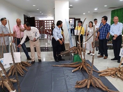 VinFuture và hành trình kết nối trí tuệ toàn cầu với những bài toán phát triển của Việt Nam 