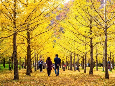 Sự phục hồi tích cực