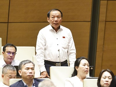 Văn hóa đã được xác định là sức mạnh nội sinh, hệ điều tiết của sự phát triển bền vững