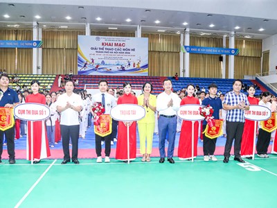 Hơn 8.000 VĐV dự Giải thể thao các môn hè thành phố Hà Nội  ​